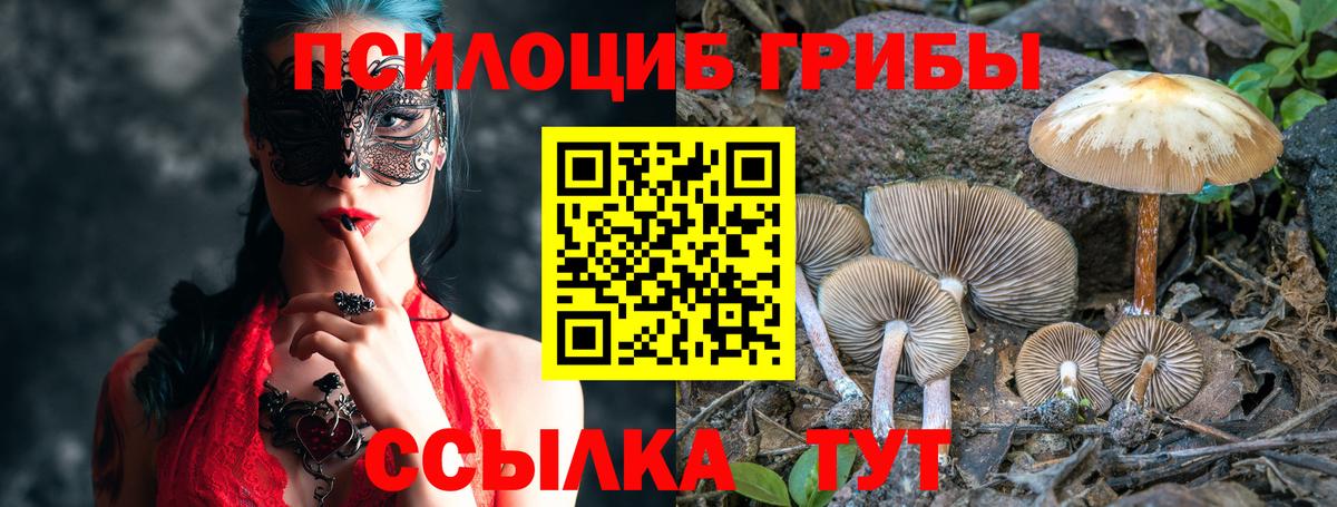 купить закладку  Псилоцибиновые грибы мухоморы  Вход с VPN  Коряжма 